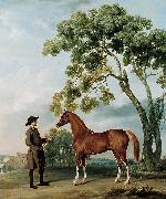 George Stubbs Lord Grosvenor's Arabian Stallion with a Groom oil painting reproduction